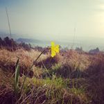 Profile Picture of Julia Newhouse (@jnewhouse123) on Instagram