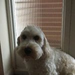 Profile Picture of Jasminerosebateman (@jasminerosebateman) on Instagram