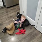 Profile Picture of Jason Koopman (@jason.koopman721) on Instagram