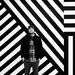 Profile Picture of William Wrobel (@wwrobel) on Pinterest