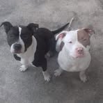 Profile Picture of Adão Mota (@Adão-Mota) on Facebook