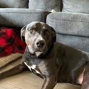 Profile Picture of Liam Martin (@LiamMartin-od6kz) on Youtube