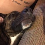 Profile Picture of Sammy Darin (@supersammy99999) on Instagram