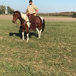 Profile Picture of Jeremy Hoekstra (@jeremy.hoekstra.3) on Instagram