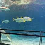 Profile Picture of Michaela Kustermann (@michaela.kustermann.39) on Facebook