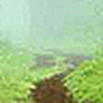 Profile Picture of Luis Hilario (@lucho1960) on Flickr