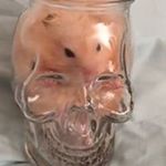 Profile Picture of Nigel Craig (@perfect_vision_56) on Instagram