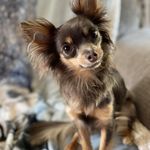 Profile Picture of Caroline Shuler (@cjshuler) on Instagram