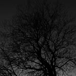 Profile Picture of Dylan hyde (@dylan_hyde_02) on Instagram