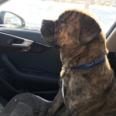 Profile Picture of Peter Cassat (@CassatPeter) on Twitter