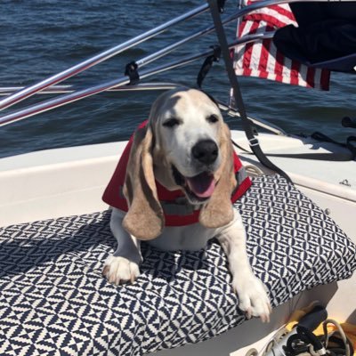 Profile Picture of Joy A Stout (@JoyAStout1) on Twitter