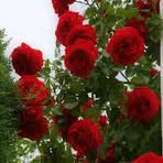 Profile Picture of Janet Dwight (@Janet-Dwight) on Facebook