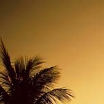 Profile Picture of ShirleyBrantley (@shirleybrantleyb) on Instagram