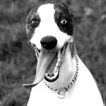 Profile Picture of Bill Saunders (@BillSaundersIRL) on Twitter