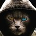 Profile Picture of Manishmishra Manishmishra (@manishmishra.manishmishra.7524879) on Facebook