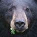 Profile Picture of Manuel Weaver (@manuelw1791) on Pinterest