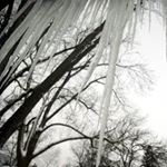 Profile Picture of Arctic Richard Murphy III (@arcticmurph) on Instagram