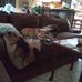 Profile Picture of Nancy Strother (@nancy.strother.5) on Facebook