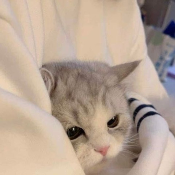 Profile Picture of Hùng Đinh (@summerrift2703) on Poshmark