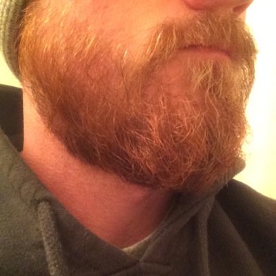 Rory Murray's Beard - Twitter Profile Picture of Rory Murray's Beard (@murrbeard) on Twitter