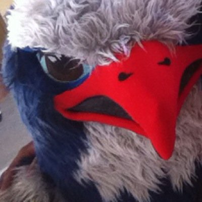 Profile Picture of Felix The Falcon (@felixdafalcon) on Twitter