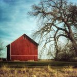 Profile Picture of Julie Denning (@windinglane_images) on Instagram