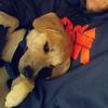 Profile Picture of Victor Keith (@@vickeith24) on Tiktok