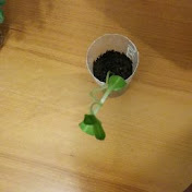 Profile Picture of Eugene Jang (@eugenejang9202) on Youtube