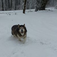 Profile Picture of Leah Hennessy (@leah-hennessy-3) on Quora