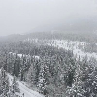 Jerry Lei - Twitter Profile Picture of Jerry Lei (@JerryLei17) on Twitter