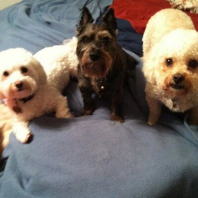 Profile Picture of nancy lorton (@NLorton) on Twitter