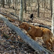 Profile Picture of Adam Derrenberger (@adamderrenberger1337) on Youtube