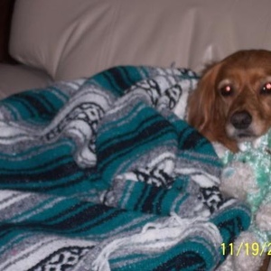 Profile Picture of Doug Clingingsmith (@dougjen11) on Myspace