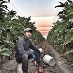 HungHsin Lo - Instagram Profile Picture of HungHsin Lo (@hunghsinlo) on Instagram