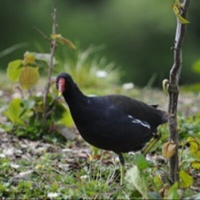 Profile Picture of Jonathan McKee (@JonMcKeePhoto) on Twitter