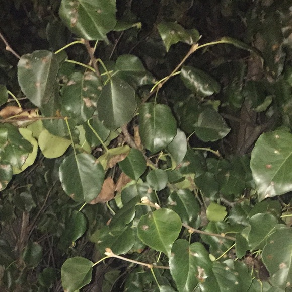 Profile Picture of Jake Black (@jake_black) on Poshmark