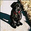 Profile Picture of Bob2010 (@Bob2010) on Flickr