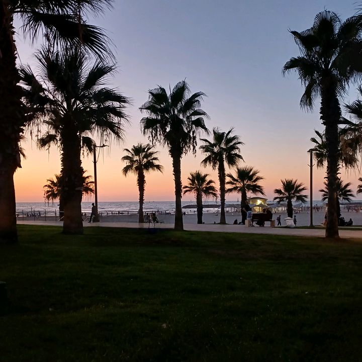 Profile Picture of Michael (@michaellivne) on Tiktok