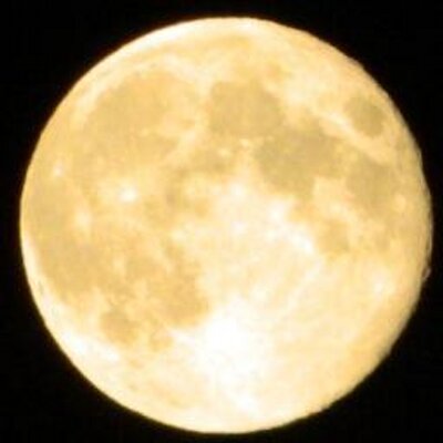 Profile Picture of Lisa Mortell (@LisaMortell1) on Twitter