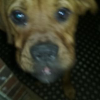 Profile Picture of Michael Stinson (@michael.stinson.92560) on Facebook