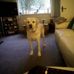 Profile Picture of Duncan R Pearce (@Duncan-R-Pearce) on Facebook