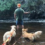 Ian Goldsmith - Instagram Profile Picture of Ian Goldsmith (@foolsgoldsmith) on Instagram