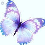 Profile Picture of kelly sousa (@kelly_sousa_1902) on Instagram