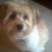 Profile Picture of Lacey Dailey (@Lacey-Dailey) on Facebook
