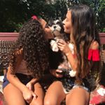 Profile Picture of Samson Edward Oreo Jacob (@shihtzu_samson) on Instagram