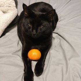 Profile Picture of devin wangrycht (@dwangrycht) on Pinterest