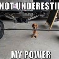 Profile Picture of Jacques Hall (@JacquesHall222) on Twitter