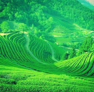 陈周 - Facebook Profile Picture of 陈周 (@hongchew.tan.90) on Facebook