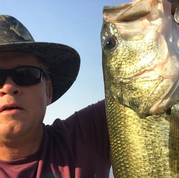 Profile Picture of William Welden (@williamwelden) on Poshmark