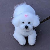 Gemma Wenger - Youtube Profile Picture of Gemma Wenger (@gemmawenger9472) on Youtube